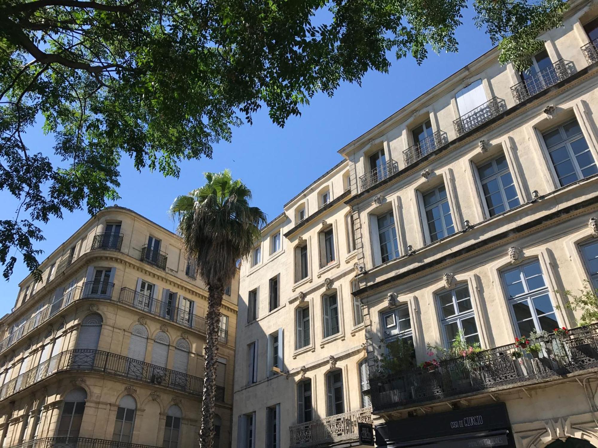 Home Chic Home - La Terrasse Bazille - Netflix Montpellier Exterior foto