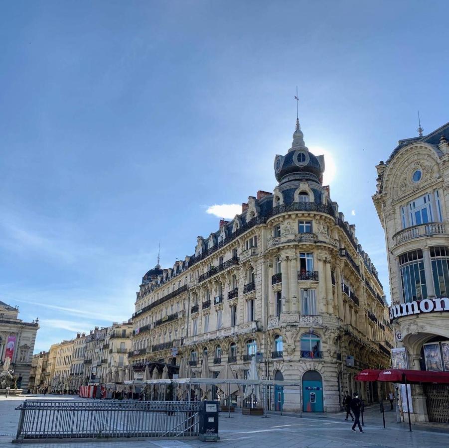 Home Chic Home - La Terrasse Bazille - Netflix Montpellier Exterior foto